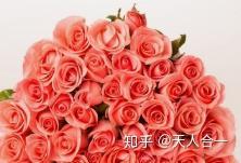 真情玫瑰,浪漫爱情的永恒象征