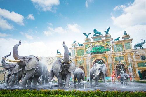 灵长王国,揭秘神秘生物的家园