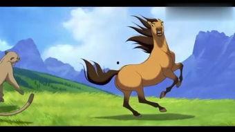 小马王,勇敢追梦的骏马传奇