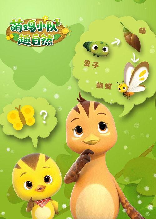 萌鸡小队,欢乐成长之旅