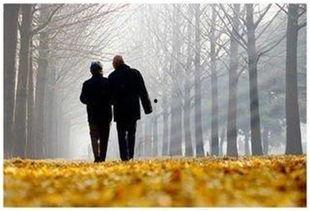 被辜负的七年与荣光